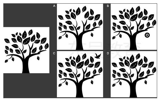 認(rèn)知能力測試-粗加工